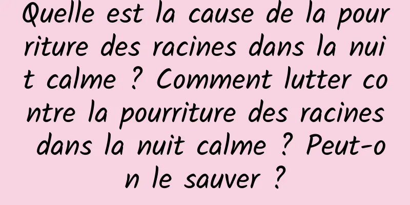 Quelle est la cause de la pourriture des racines dans la nuit calme ? Comment lutter contre la pourriture des racines dans la nuit calme ? Peut-on le sauver ?