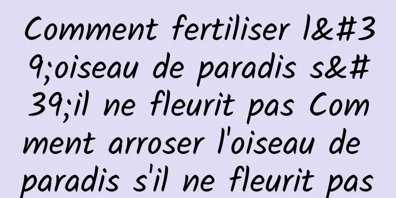 Comment fertiliser l'oiseau de paradis s'il ne fleurit pas Comment arroser l'oiseau de paradis s'il ne fleurit pas