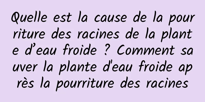 Quelle est la cause de la pourriture des racines de la plante d’eau froide ? Comment sauver la plante d'eau froide après la pourriture des racines