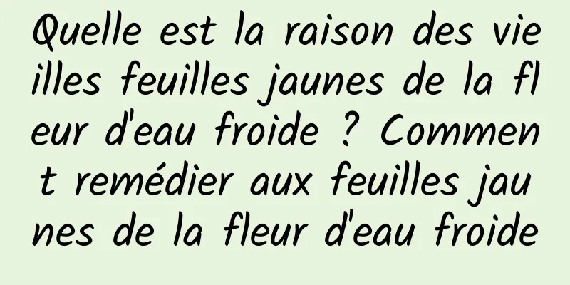 Quelle est la raison des vieilles feuilles jaunes de la fleur d'eau froide ? Comment remédier aux feuilles jaunes de la fleur d'eau froide