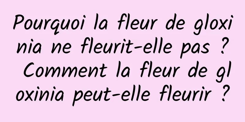 Pourquoi la fleur de gloxinia ne fleurit-elle pas ? Comment la fleur de gloxinia peut-elle fleurir ?