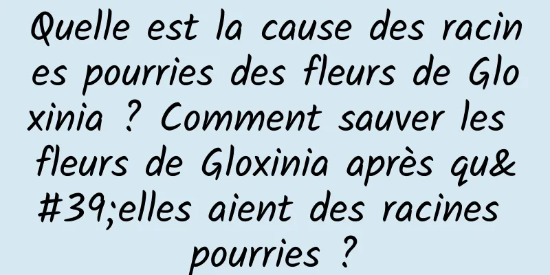 Quelle est la cause des racines pourries des fleurs de Gloxinia ? Comment sauver les fleurs de Gloxinia après qu'elles aient des racines pourries ?