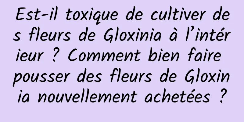Est-il toxique de cultiver des fleurs de Gloxinia à l’intérieur ? Comment bien faire pousser des fleurs de Gloxinia nouvellement achetées ?