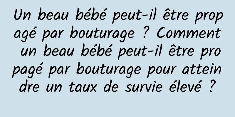 Un beau bébé peut-il être propagé par bouturage ? Comment un beau bébé peut-il être propagé par bouturage pour atteindre un taux de survie élevé ?