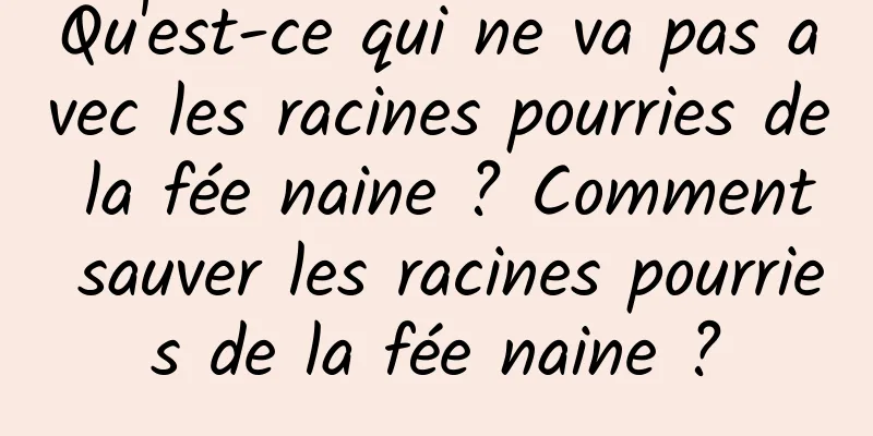 Qu'est-ce qui ne va pas avec les racines pourries de la fée naine ? Comment sauver les racines pourries de la fée naine ?