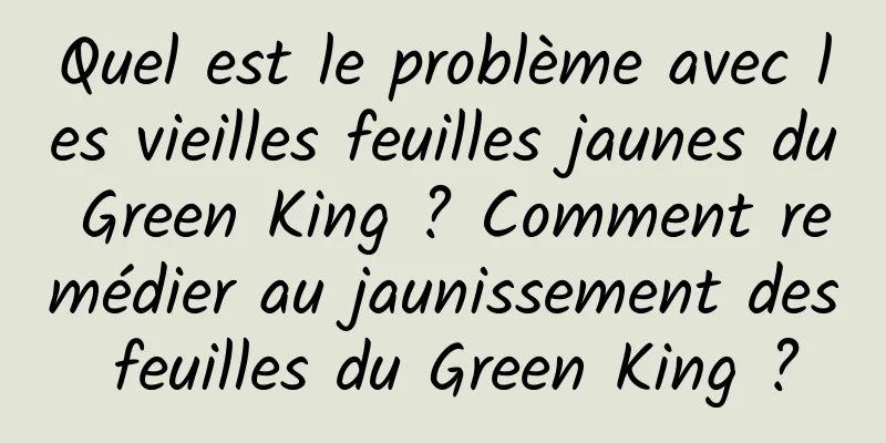Quel est le problème avec les vieilles feuilles jaunes du Green King ? Comment remédier au jaunissement des feuilles du Green King ?