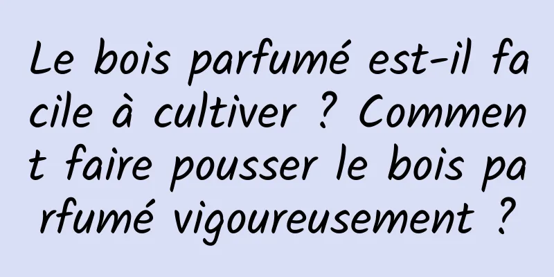 Le bois parfumé est-il facile à cultiver ? Comment faire pousser le bois parfumé vigoureusement ?