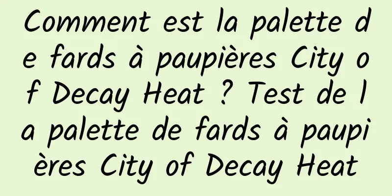 Comment est la palette de fards à paupières City of Decay Heat ? Test de la palette de fards à paupières City of Decay Heat