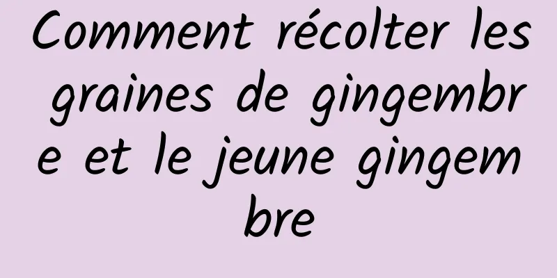Comment récolter les graines de gingembre et le jeune gingembre