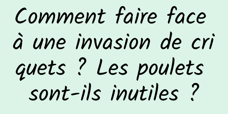 Comment faire face à une invasion de criquets ? Les poulets sont-ils inutiles ?