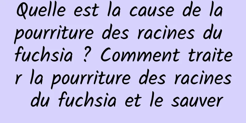 Quelle est la cause de la pourriture des racines du fuchsia ? Comment traiter la pourriture des racines du fuchsia et le sauver