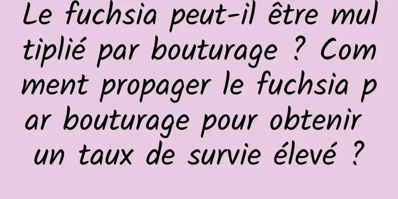 Le fuchsia peut-il être multiplié par bouturage ? Comment propager le fuchsia par bouturage pour obtenir un taux de survie élevé ?