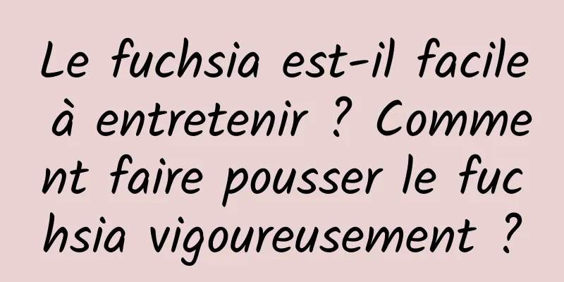 Le fuchsia est-il facile à entretenir ? Comment faire pousser le fuchsia vigoureusement ?