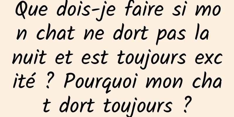 Que dois-je faire si mon chat ne dort pas la nuit et est toujours excité ? Pourquoi mon chat dort toujours ?