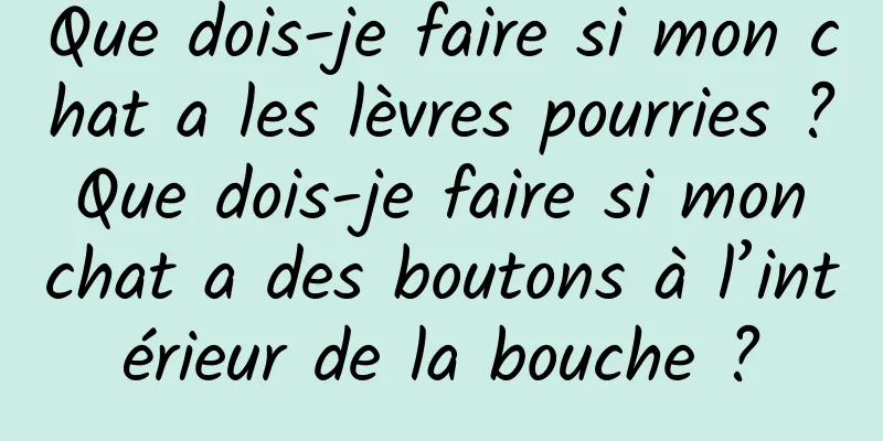 Que dois-je faire si mon chat a les lèvres pourries ? Que dois-je faire si mon chat a des boutons à l’intérieur de la bouche ?