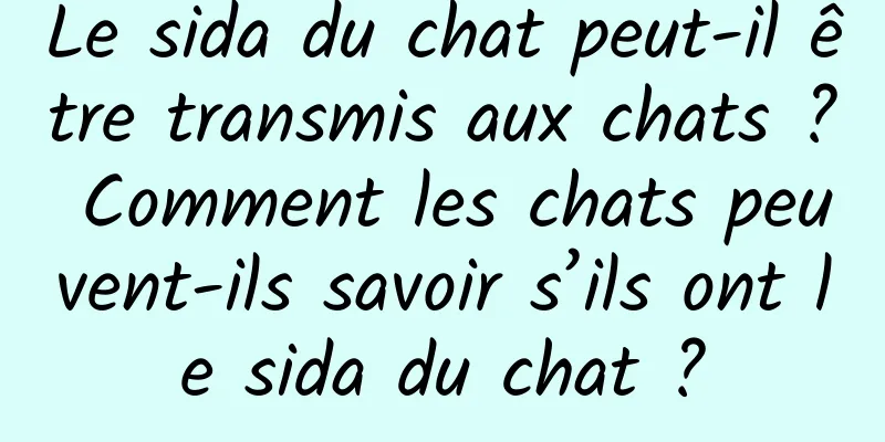 Le sida du chat peut-il être transmis aux chats ? Comment les chats peuvent-ils savoir s’ils ont le sida du chat ?