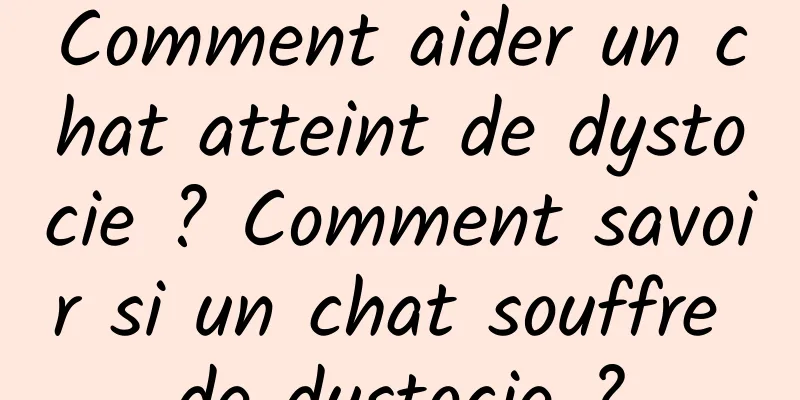 Comment aider un chat atteint de dystocie ? Comment savoir si un chat souffre de dystocie ?