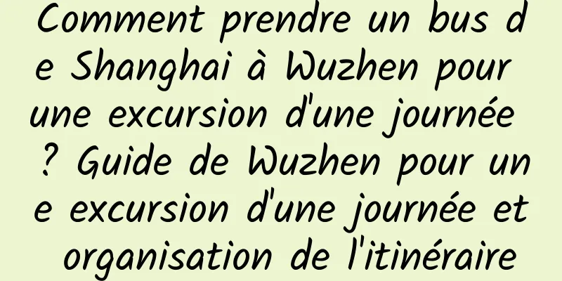 Comment prendre un bus de Shanghai à Wuzhen pour une excursion d'une journée ? Guide de Wuzhen pour une excursion d'une journée et organisation de l'itinéraire