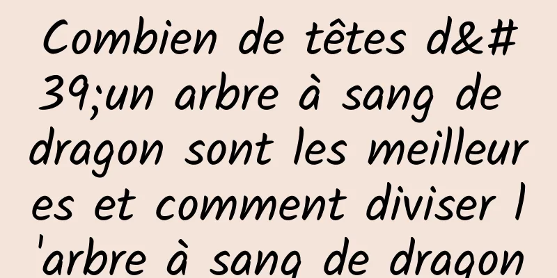 Combien de têtes d'un arbre à sang de dragon sont les meilleures et comment diviser l'arbre à sang de dragon