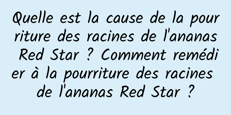 Quelle est la cause de la pourriture des racines de l'ananas Red Star ? Comment remédier à la pourriture des racines de l'ananas Red Star ?