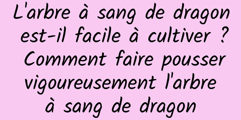 L'arbre à sang de dragon est-il facile à cultiver ? Comment faire pousser vigoureusement l'arbre à sang de dragon