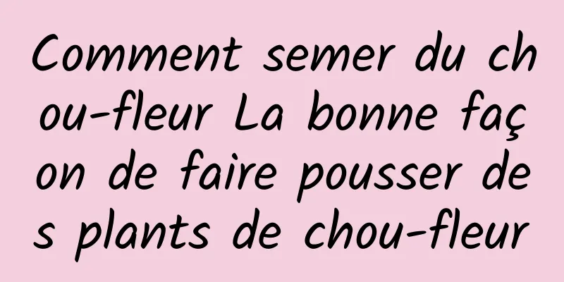 Comment semer du chou-fleur La bonne façon de faire pousser des plants de chou-fleur
