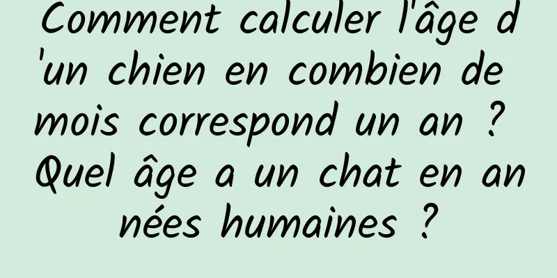 Comment calculer l'âge d'un chien en combien de mois correspond un an ? Quel âge a un chat en années humaines ?