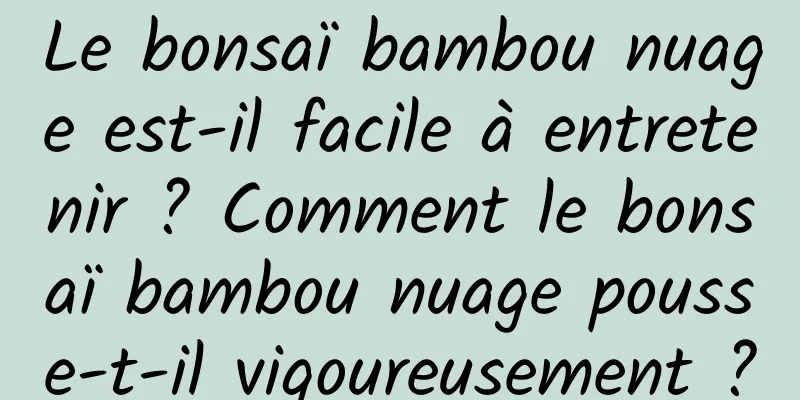 Le bonsaï bambou nuage est-il facile à entretenir ? Comment le bonsaï bambou nuage pousse-t-il vigoureusement ?