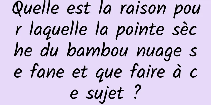 Quelle est la raison pour laquelle la pointe sèche du bambou nuage se fane et que faire à ce sujet ?