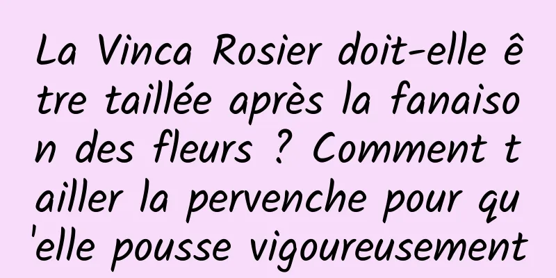 La Vinca Rosier doit-elle être taillée après la fanaison des fleurs ? Comment tailler la pervenche pour qu'elle pousse vigoureusement