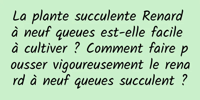 La plante succulente Renard à neuf queues est-elle facile à cultiver ? Comment faire pousser vigoureusement le renard à neuf queues succulent ?