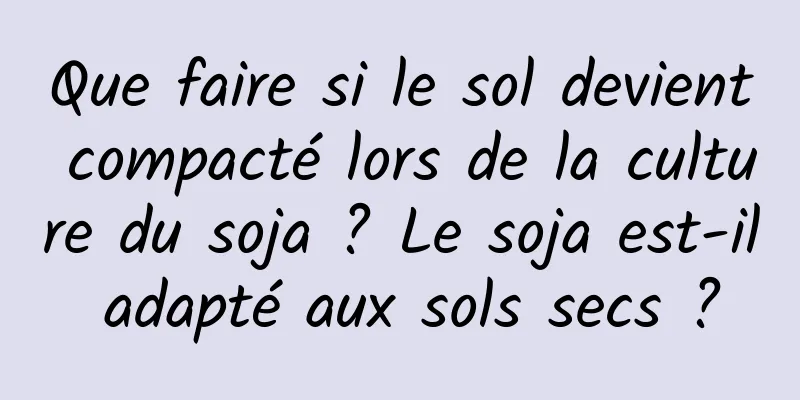 Que faire si le sol devient compacté lors de la culture du soja ? Le soja est-il adapté aux sols secs ?