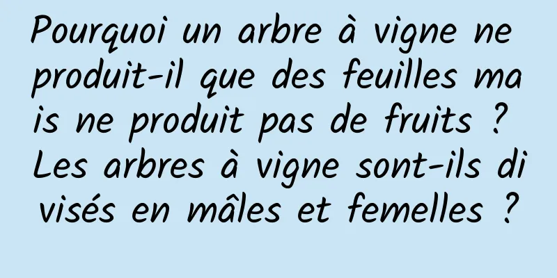 Pourquoi un arbre à vigne ne produit-il que des feuilles mais ne produit pas de fruits ? Les arbres à vigne sont-ils divisés en mâles et femelles ?