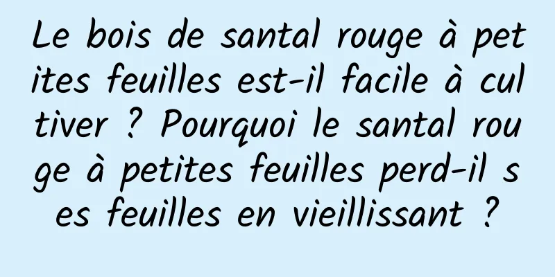 Le bois de santal rouge à petites feuilles est-il facile à cultiver ? Pourquoi le santal rouge à petites feuilles perd-il ses feuilles en vieillissant ?