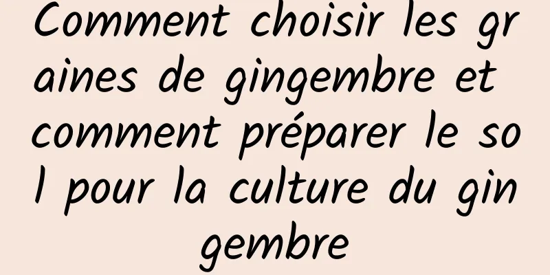 Comment choisir les graines de gingembre et comment préparer le sol pour la culture du gingembre