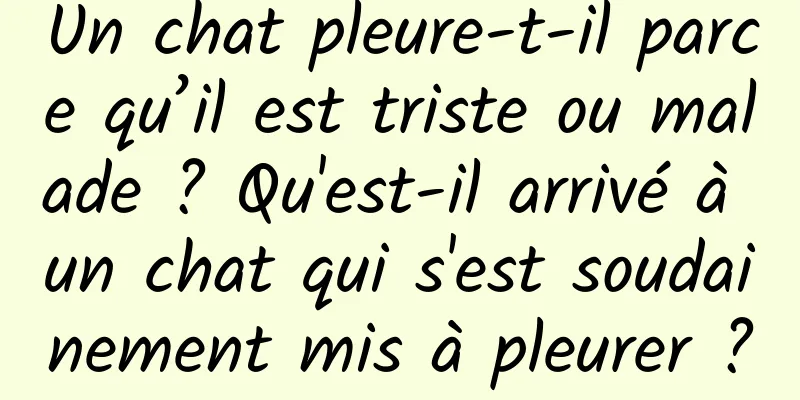 Un chat pleure-t-il parce qu’il est triste ou malade ? Qu'est-il arrivé à un chat qui s'est soudainement mis à pleurer ?