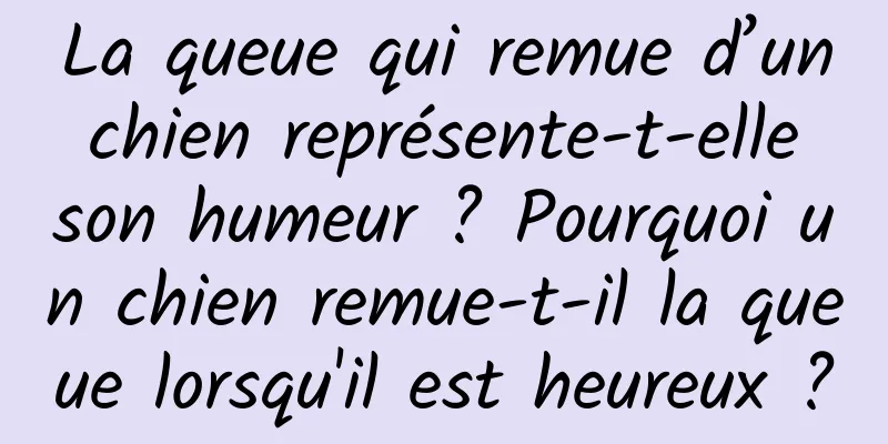La queue qui remue d’un chien représente-t-elle son humeur ? Pourquoi un chien remue-t-il la queue lorsqu'il est heureux ?