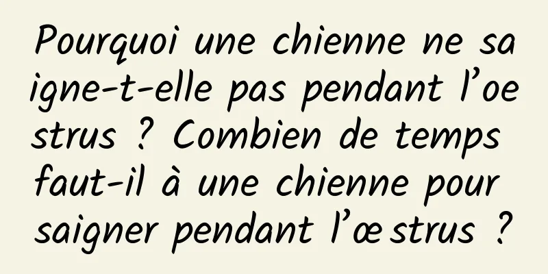 Pourquoi une chienne ne saigne-t-elle pas pendant l’oestrus ? Combien de temps faut-il à une chienne pour saigner pendant l’œstrus ?