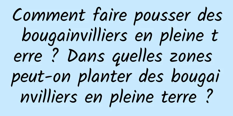 Comment faire pousser des bougainvilliers en pleine terre ? Dans quelles zones peut-on planter des bougainvilliers en pleine terre ?