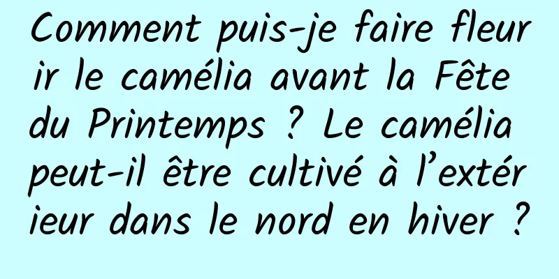 Comment puis-je faire fleurir le camélia avant la Fête du Printemps ? Le camélia peut-il être cultivé à l’extérieur dans le nord en hiver ?