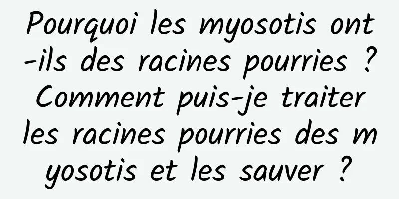 Pourquoi les myosotis ont-ils des racines pourries ? Comment puis-je traiter les racines pourries des myosotis et les sauver ?