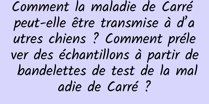 Comment la maladie de Carré peut-elle être transmise à d’autres chiens ? Comment prélever des échantillons à partir de bandelettes de test de la maladie de Carré ?