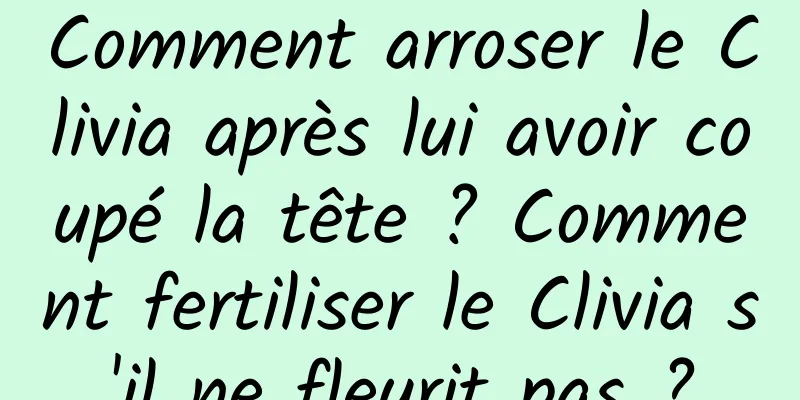 Comment arroser le Clivia après lui avoir coupé la tête ? Comment fertiliser le Clivia s'il ne fleurit pas ?