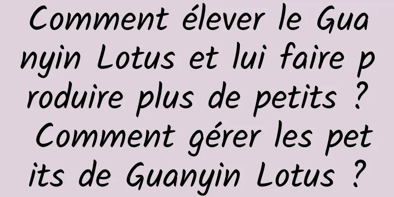 Comment élever le Guanyin Lotus et lui faire produire plus de petits ? Comment gérer les petits de Guanyin Lotus ?