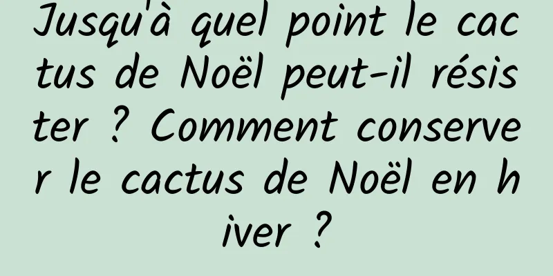 Jusqu'à quel point le cactus de Noël peut-il résister ? Comment conserver le cactus de Noël en hiver ?