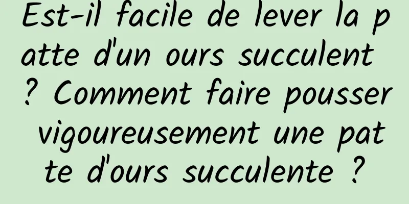 Est-il facile de lever la patte d'un ours succulent ? Comment faire pousser vigoureusement une patte d'ours succulente ?