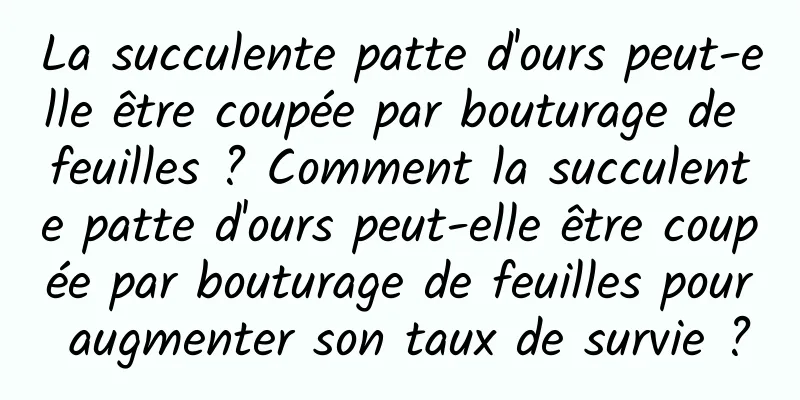 La succulente patte d'ours peut-elle être coupée par bouturage de feuilles ? Comment la succulente patte d'ours peut-elle être coupée par bouturage de feuilles pour augmenter son taux de survie ?
