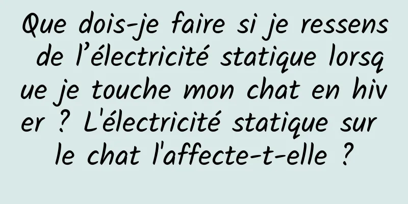 Que dois-je faire si je ressens de l’électricité statique lorsque je touche mon chat en hiver ? L'électricité statique sur le chat l'affecte-t-elle ?