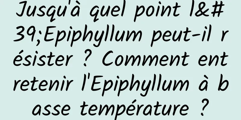 Jusqu'à quel point l'Epiphyllum peut-il résister ? Comment entretenir l'Epiphyllum à basse température ?