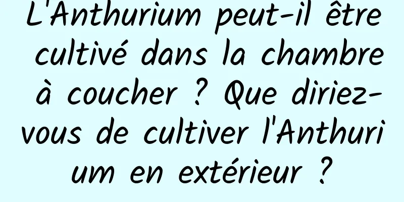 L'Anthurium peut-il être cultivé dans la chambre à coucher ? Que diriez-vous de cultiver l'Anthurium en extérieur ?